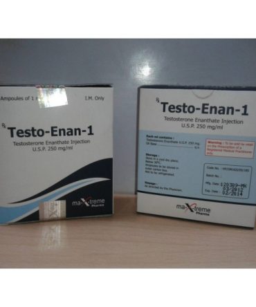 testosterone enanthate 10 fiale (250mg/ml) online by Maxtreme