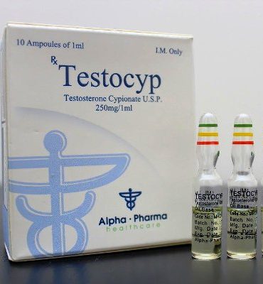 Testosterone Cypionate 10 fiale (250mg/ml) online by Alpha Pharma, Watson analogue